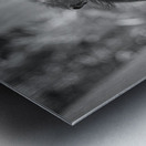 Wildlife 5 Metal print