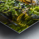 Wildlife 4 Metal print