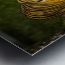 Wildlife 3 Metal print