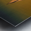 Key West MG 5121 Metal print