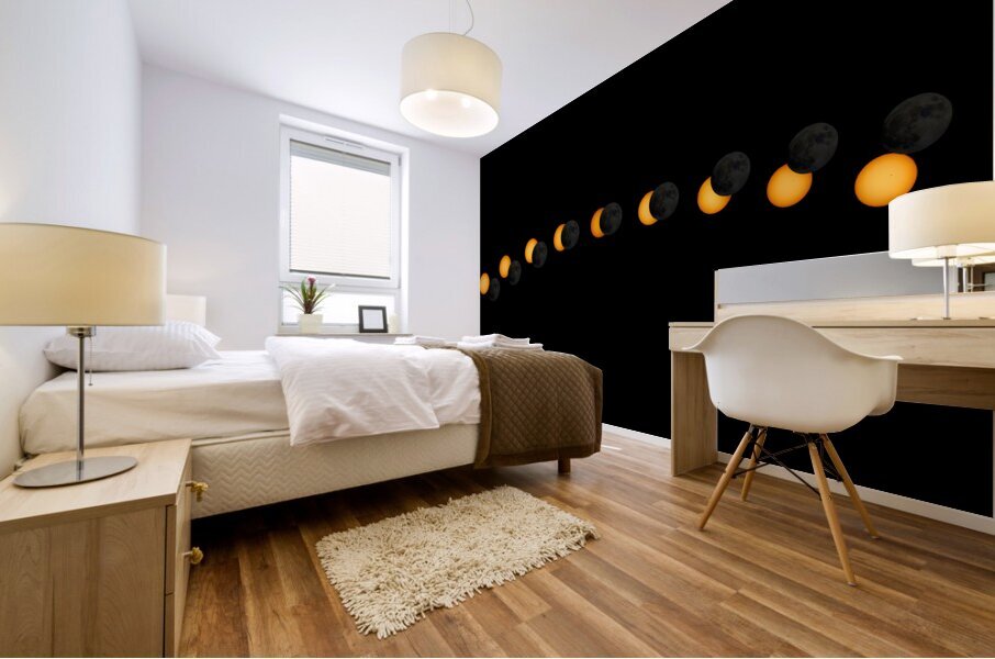 Eclipse_2024 Mural print