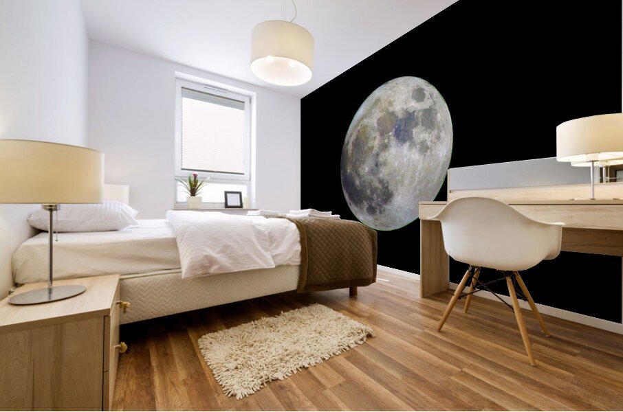 Full moon Mural print
