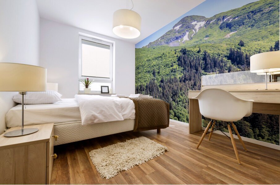 Store Alaska5L3A7439 Mural print