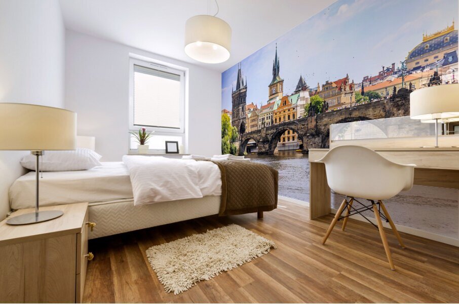 Store Prague 5L3A3748 Mural print