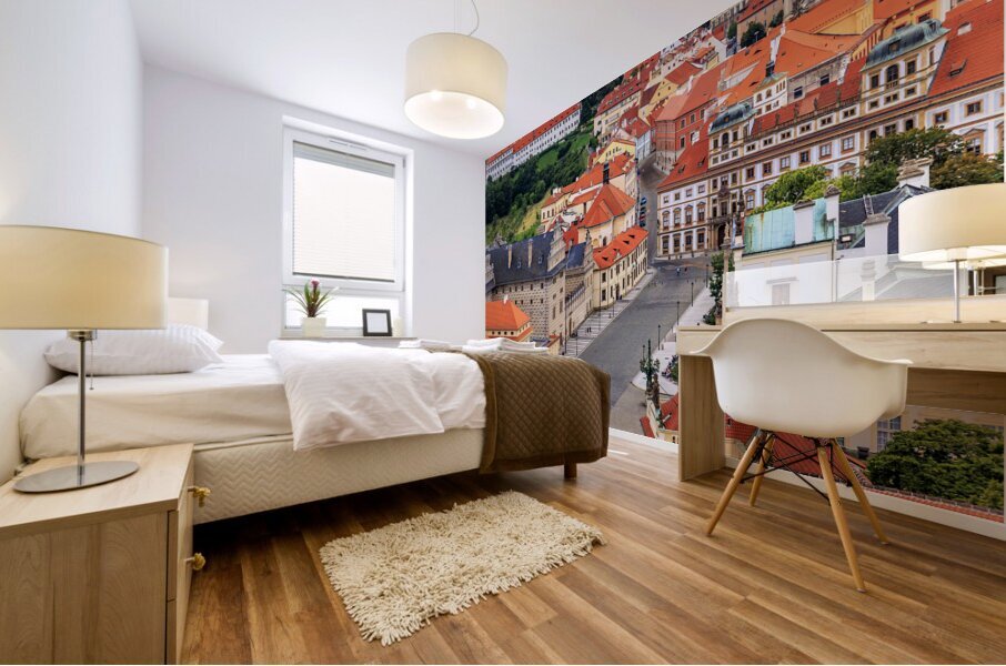 Store Prague 5L3A3838 Mural print