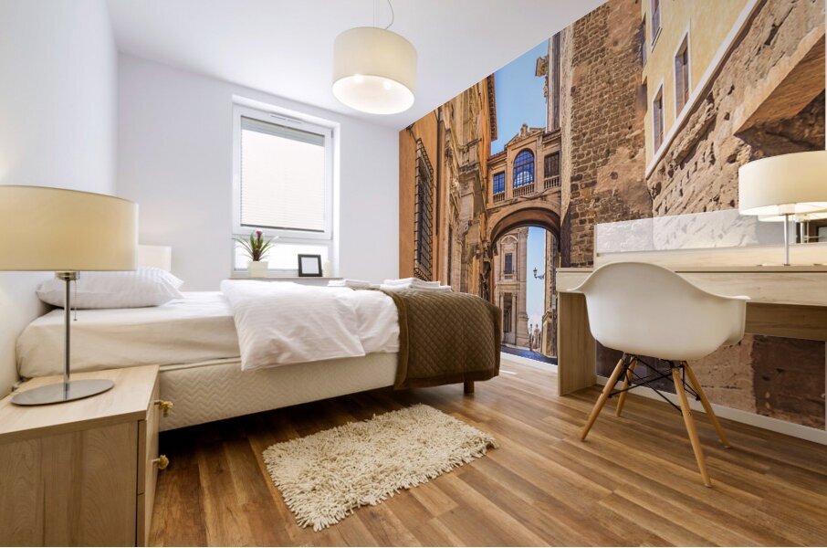 Store Rome 5L3A5558 Mural print