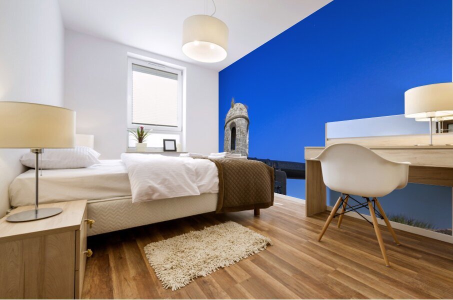 Store Florida 5L3A9385 Mural print