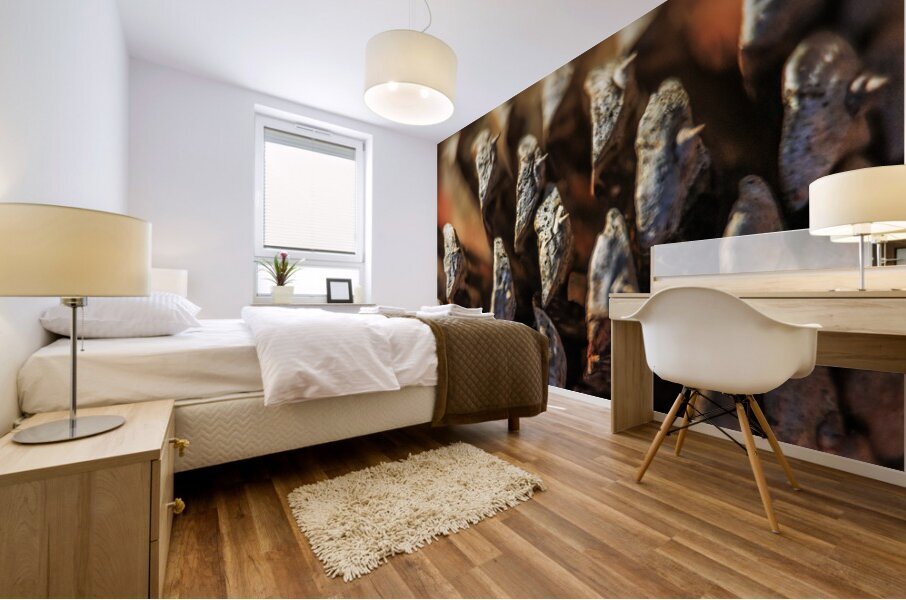 Store Georgia 5L3A0127 Mural print