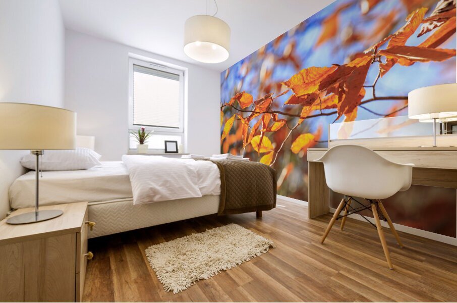 Store Georgia 5L3A0068 Impression murale