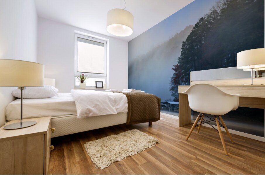 Store Georgia 5L3A9746 Mural print