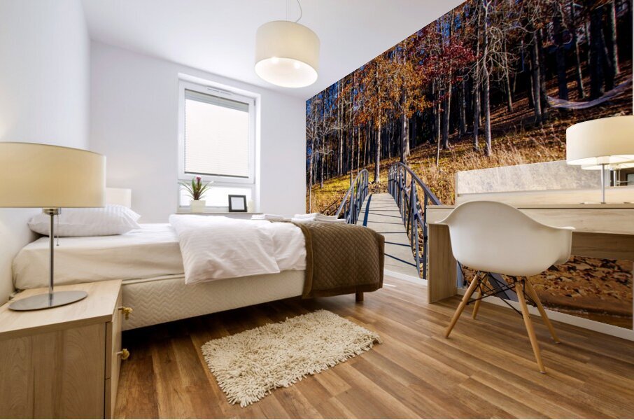 Store Georgia DSC 0626 Mural print