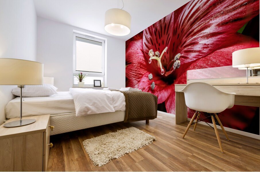 Store Macro 5L3A3569 Impression murale