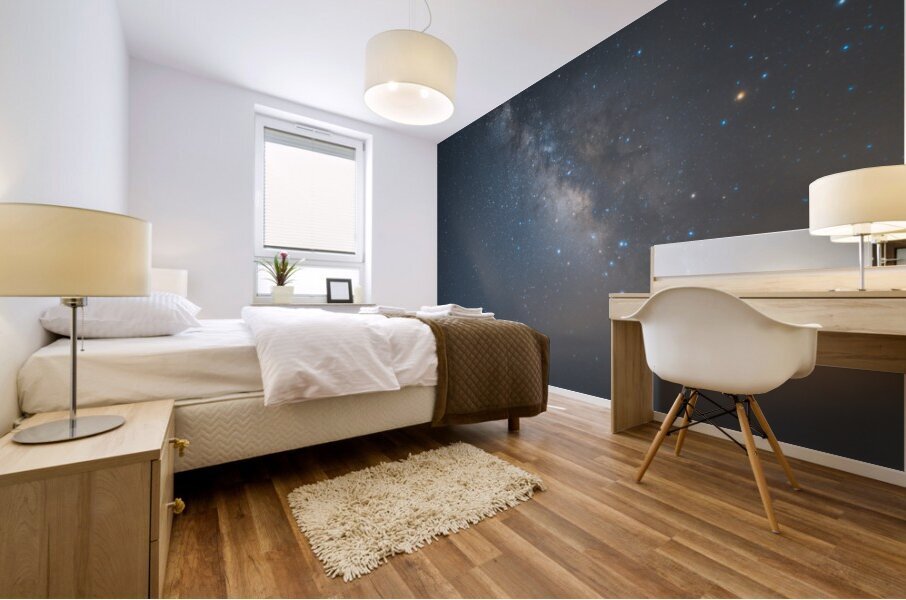 Milky Way Vertical Mural print