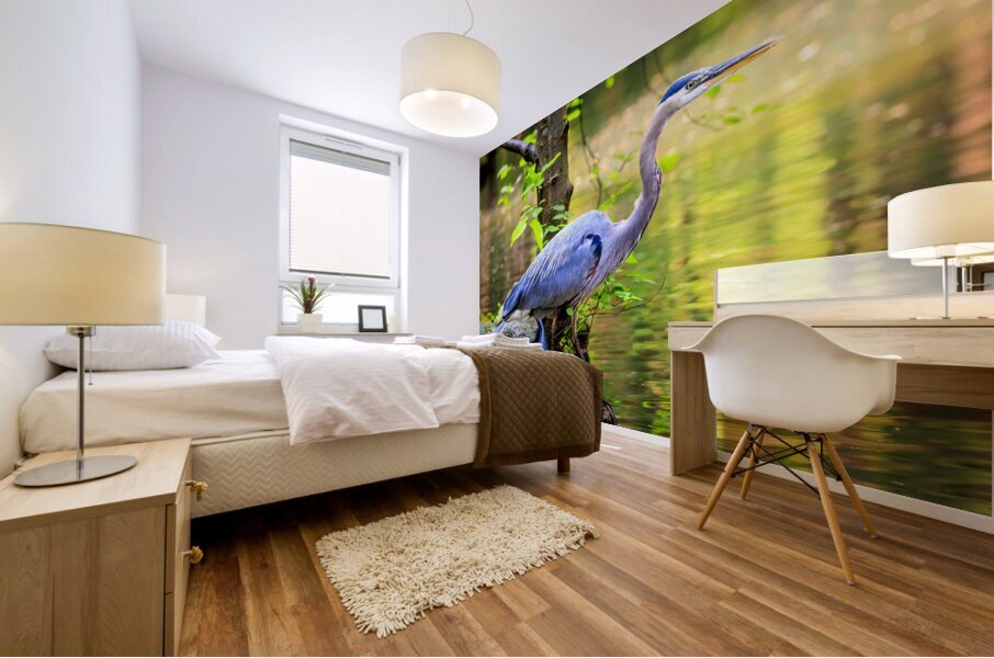 Store Vancouver 5L3A6854 Mural print