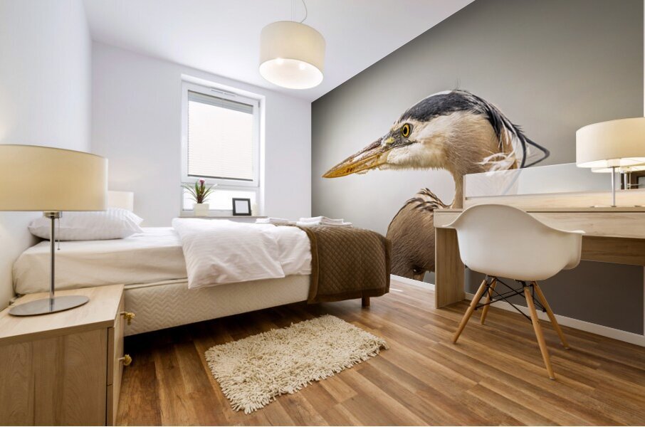 Store Key Biscayne AE2A9025 Mural print