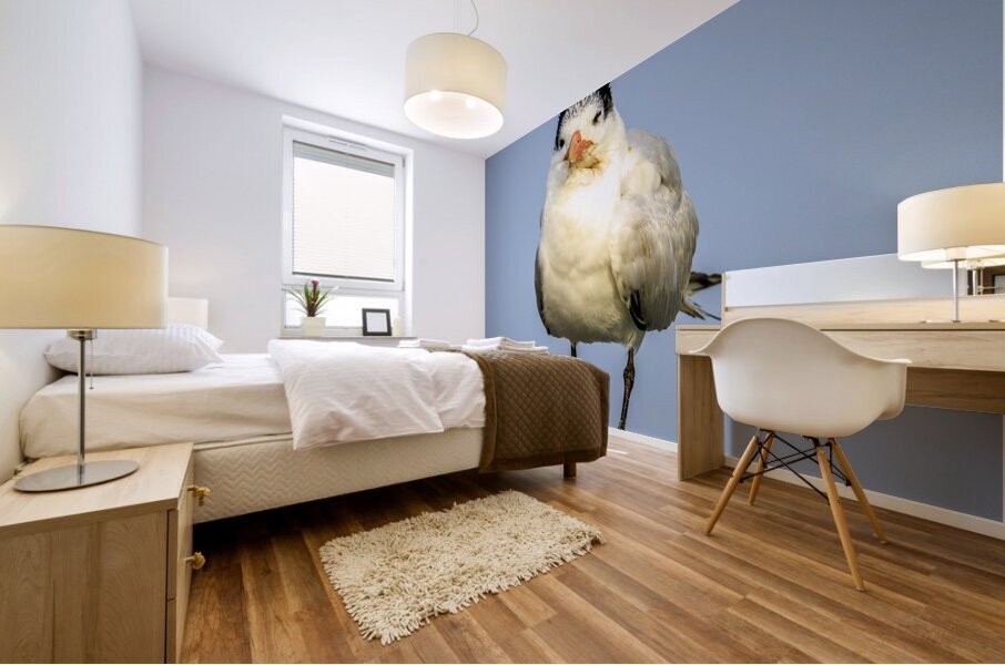 Store Dania Beach AE2A8826 Mural print