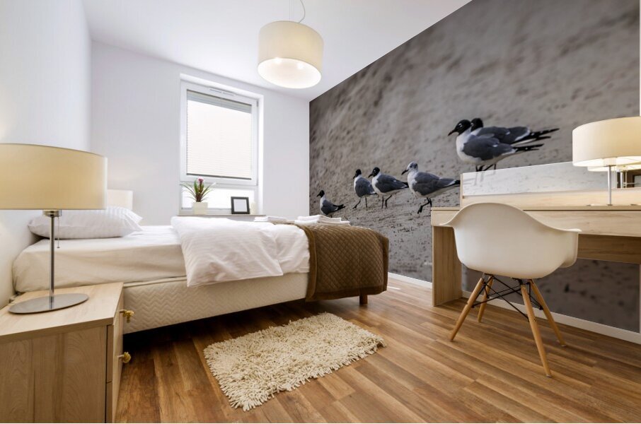 Store Dania Beach AE2A8947 Mural print