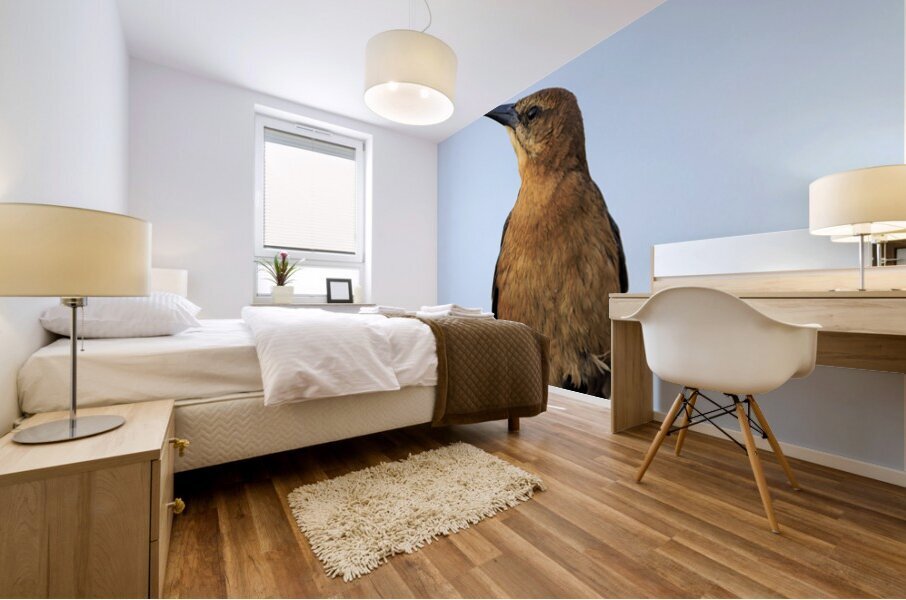 Store Dania Beach AE2A8779 Impression murale