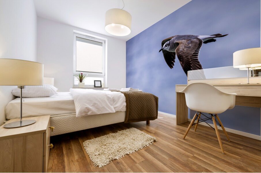 Store Dania Beach AE2A8885 Mural print