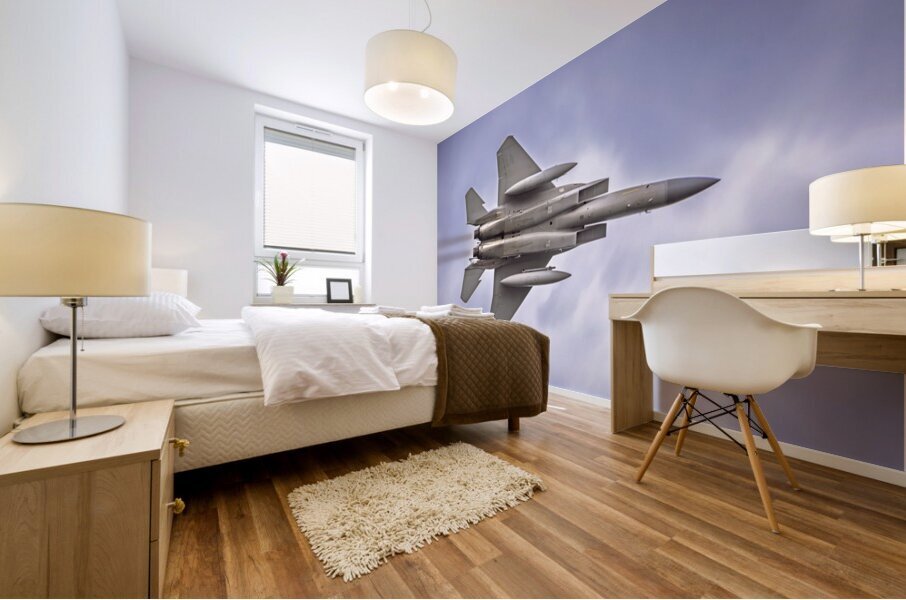 AirShow F15 AE2A2851 Impression murale