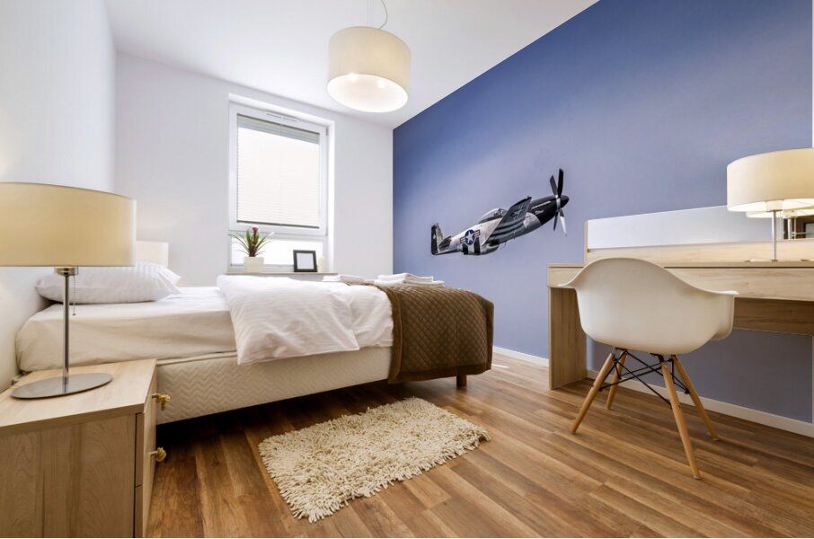 Store FLLAirShow AE2A3758 Impression murale