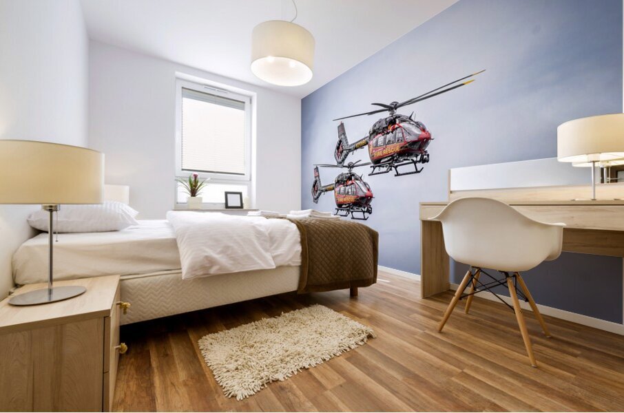 Store FLLAirShow AE2A3613 Mural print