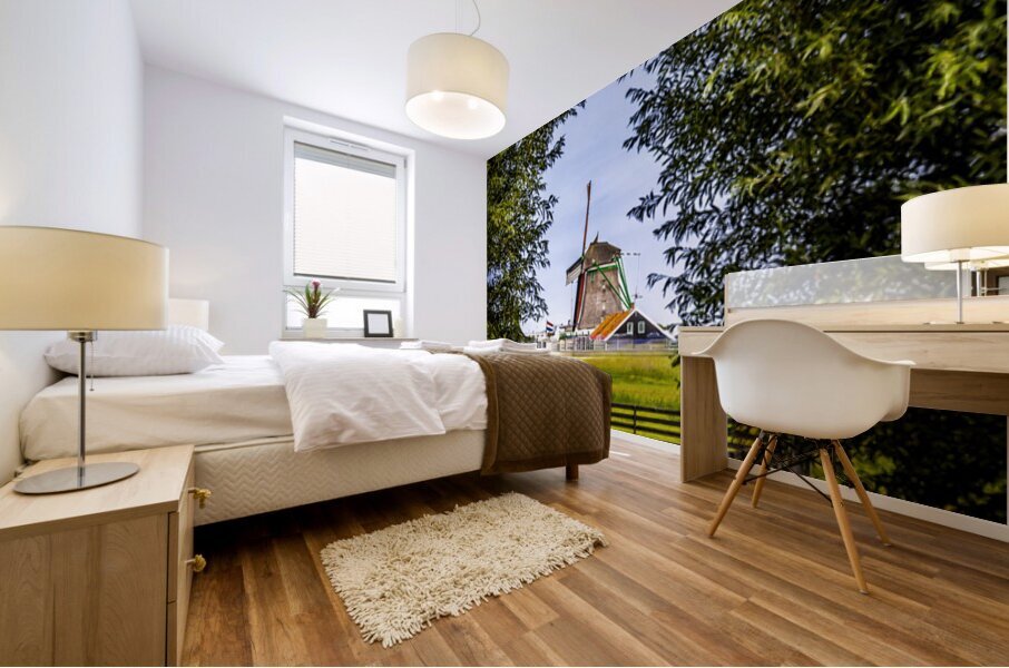 Holland E2A0158 Mural print