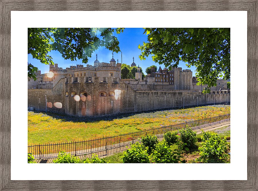 Store London 5L3A1276 Picture Frame print