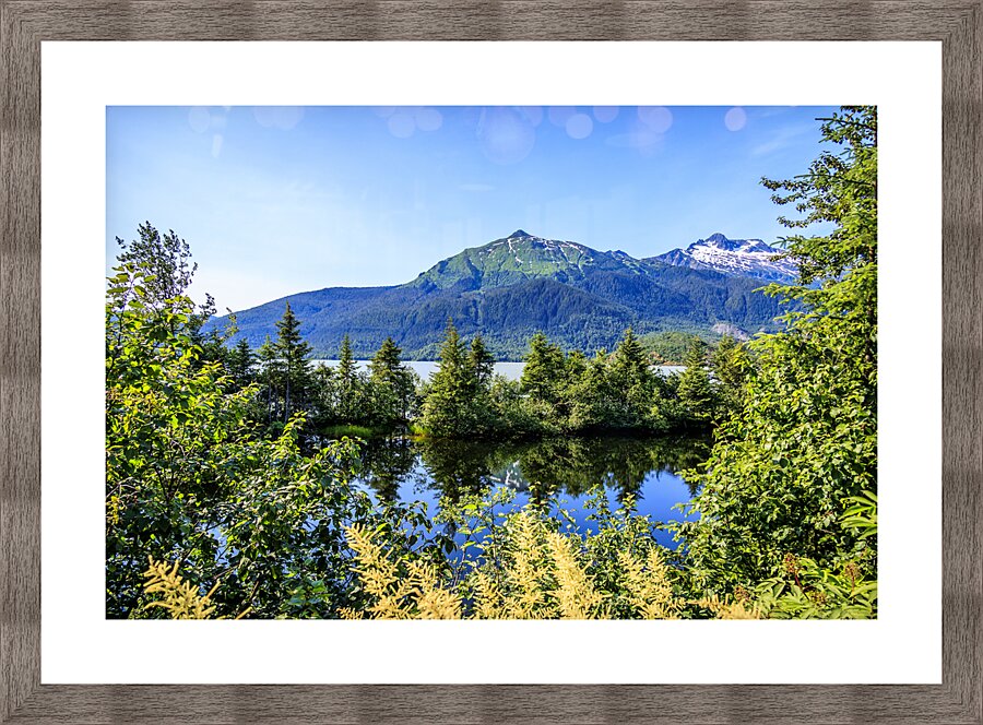 Store Alaska5L3A7515 Picture Frame print