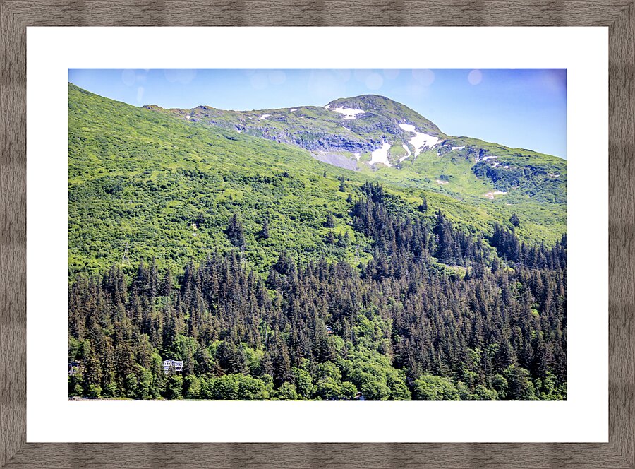 Store Alaska5L3A7439 Picture Frame print