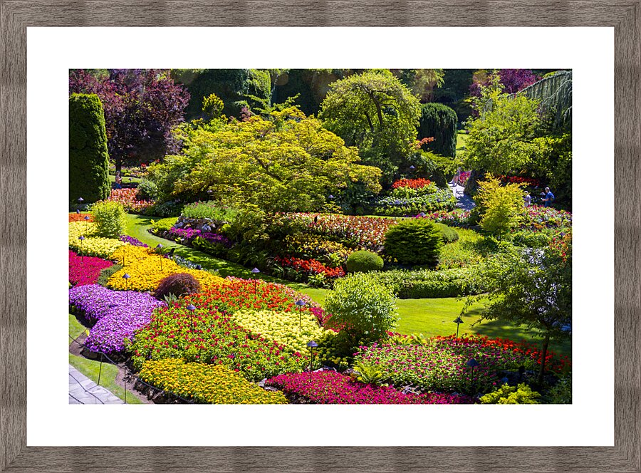 Store Victoria 5L3A8632 Picture Frame print