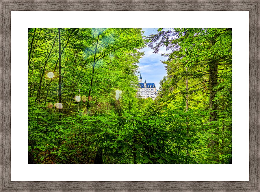 Store Munich  5L3A4085 Edit Picture Frame print