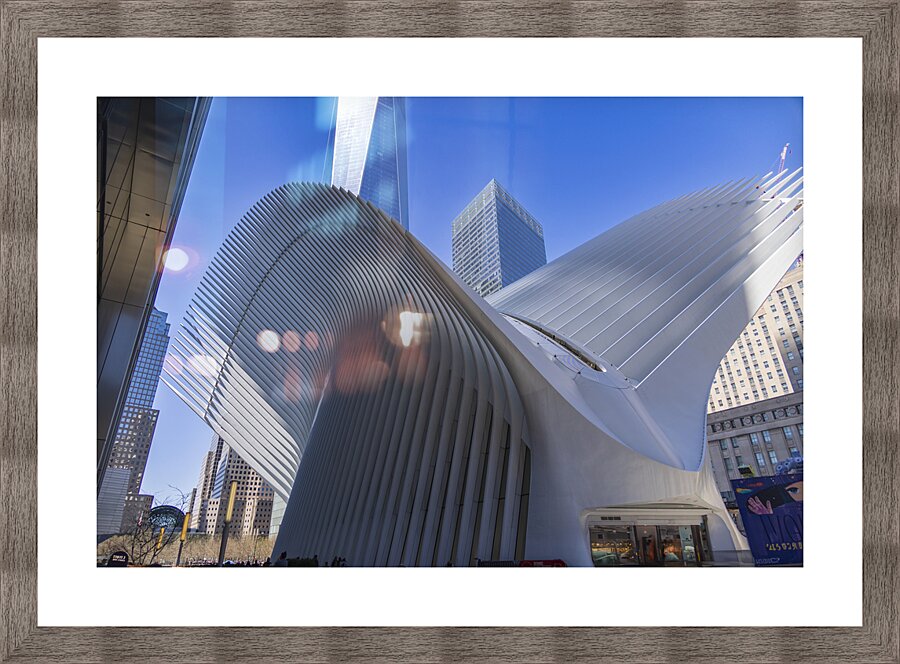 Store New York 5L3A0359 Picture Frame print