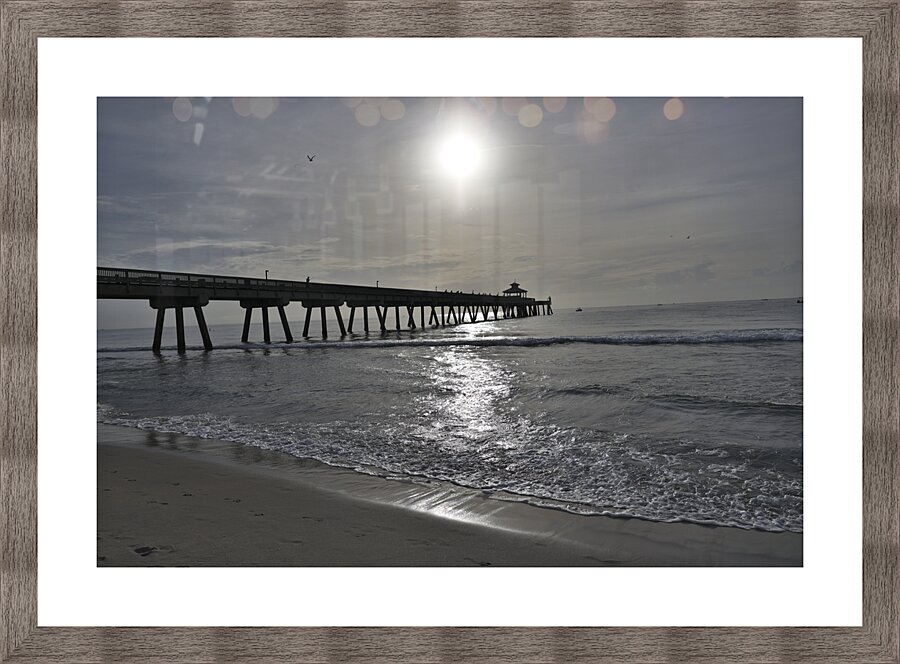 Store Florida 5L3A6591 Picture Frame print