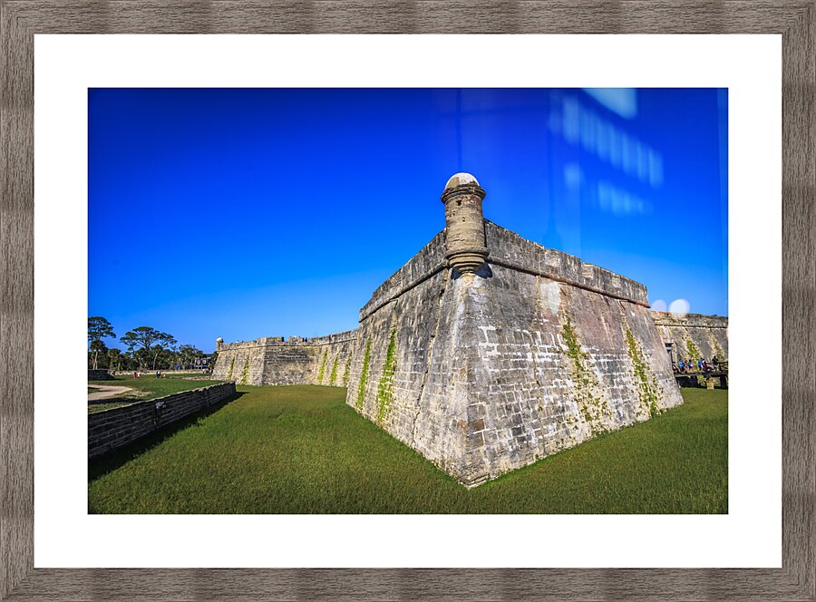 Store Florida 5L3A9416 Picture Frame print