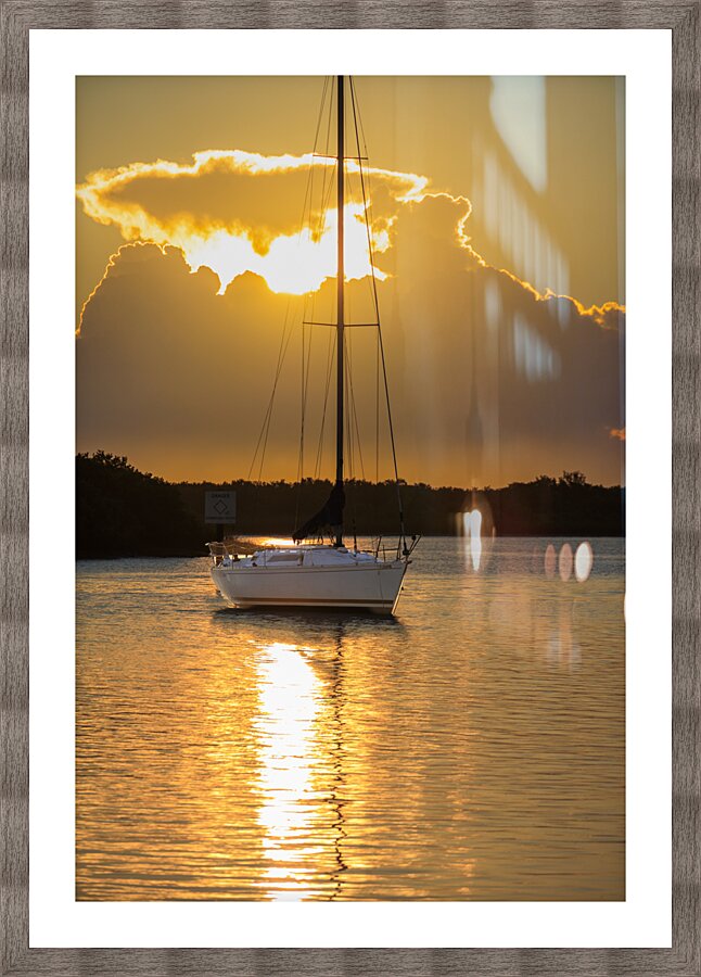 Store Florida 5L3A9278 Picture Frame print