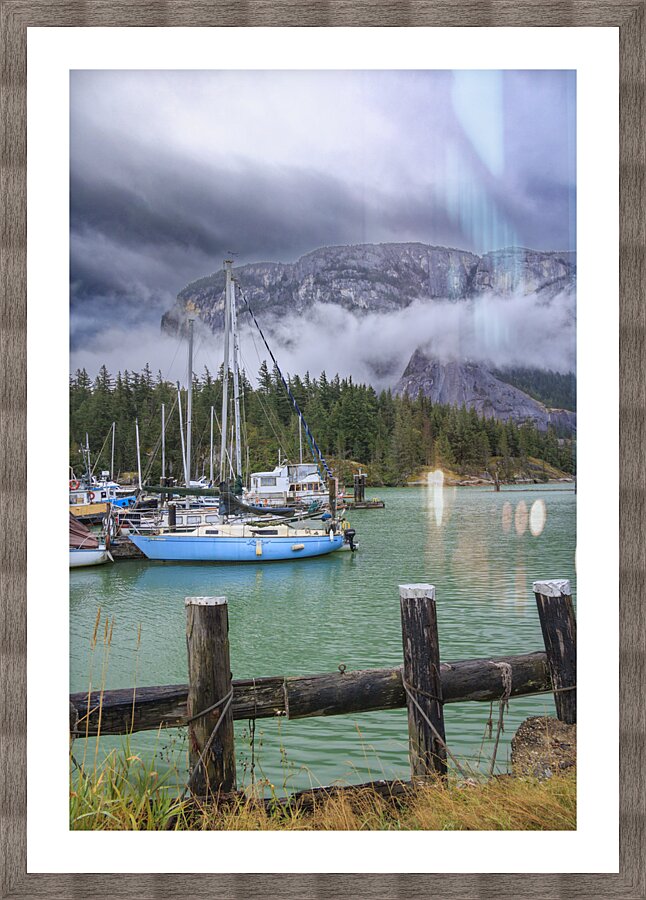 Store Vancouver  L3A5579 Picture Frame print