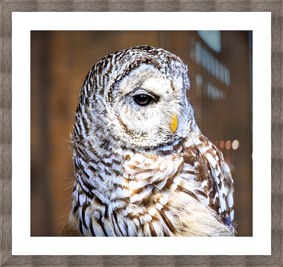 Store Vancouver 5L3A6870 Picture Frame print