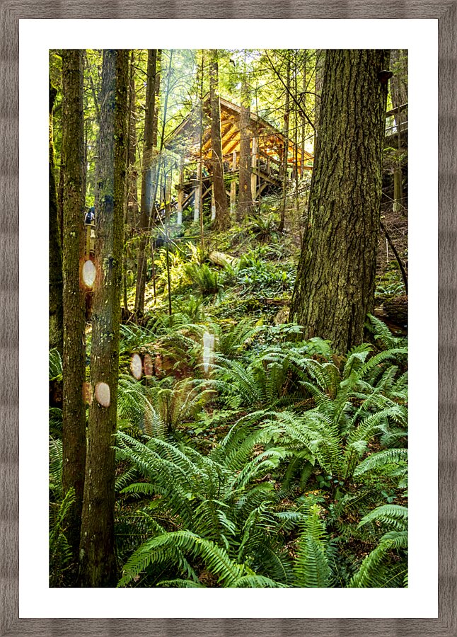 Store Vancouver 5L3A6895 Picture Frame print