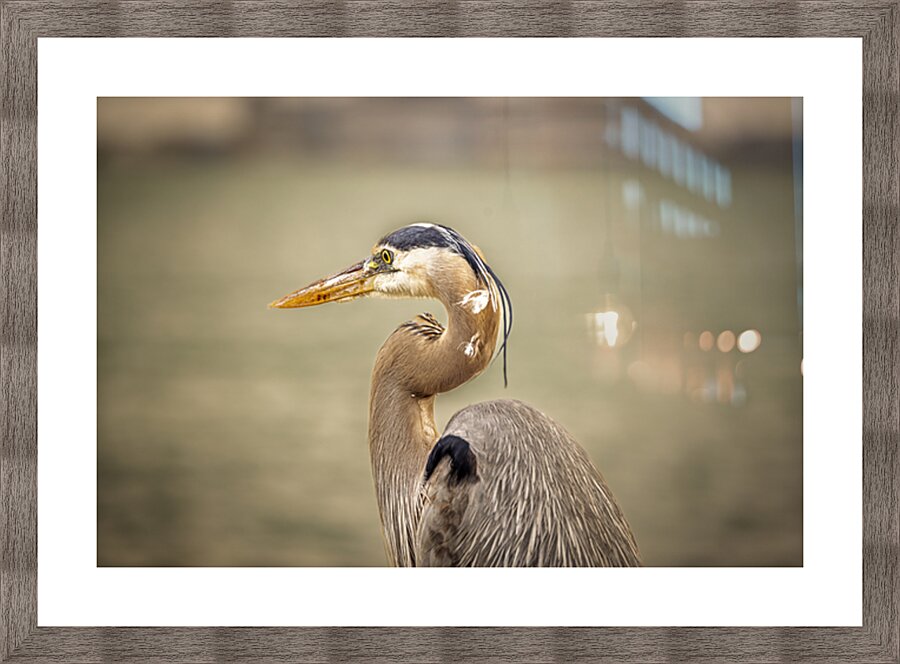 Store Key Biscayne AE2A9010 Picture Frame print