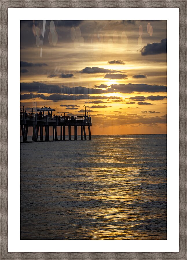 Store Dania Beach AE2A8676 Picture Frame print