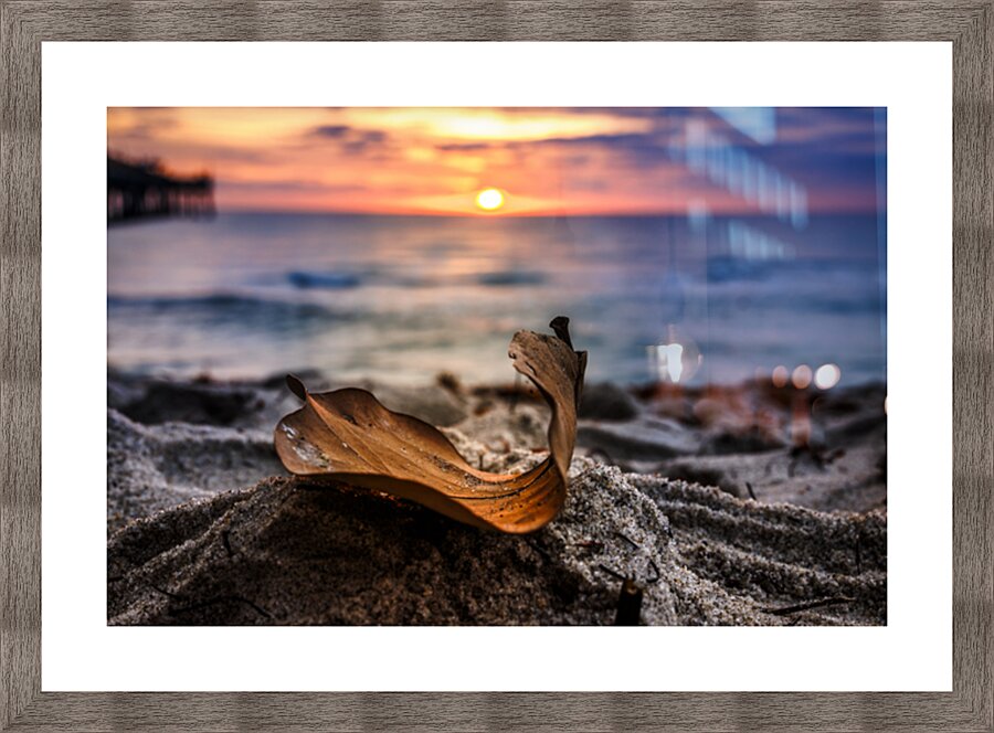 Store Dania Beach AE2A8654 Picture Frame print