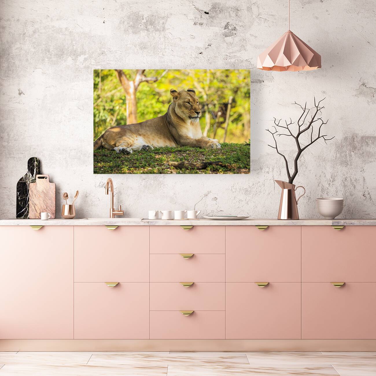 Lioness Reproduction