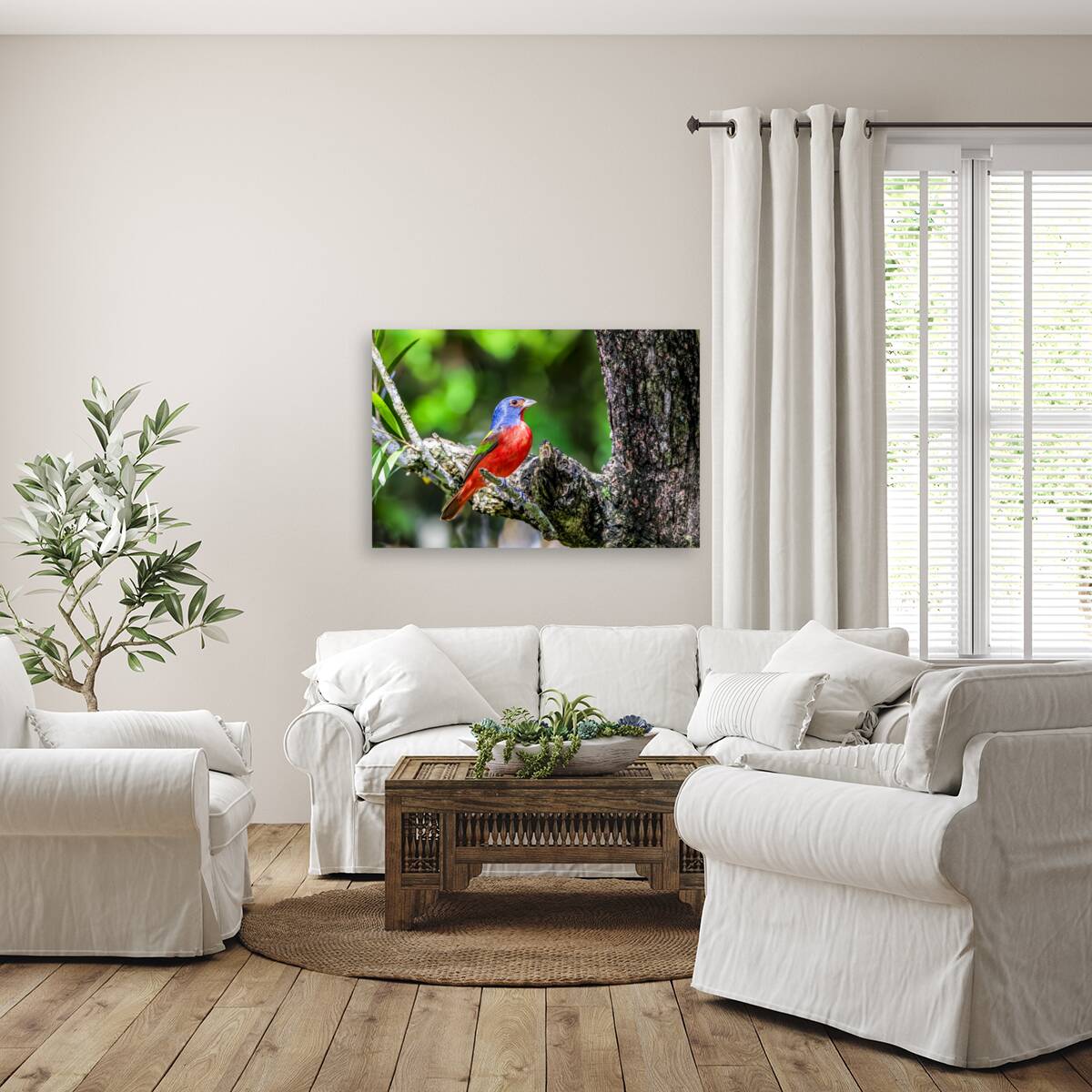 Painted bunting Reproduction