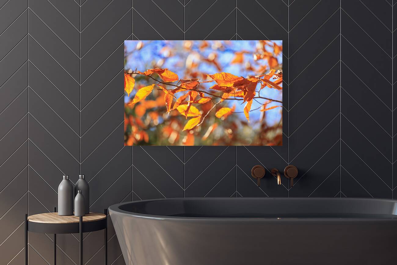 Store Georgia 5L3A0068 Reproduction