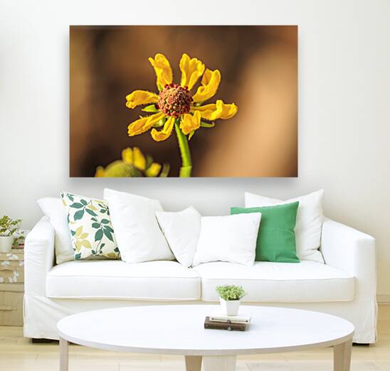 Store Georgia 5L3A0133 Reproduction