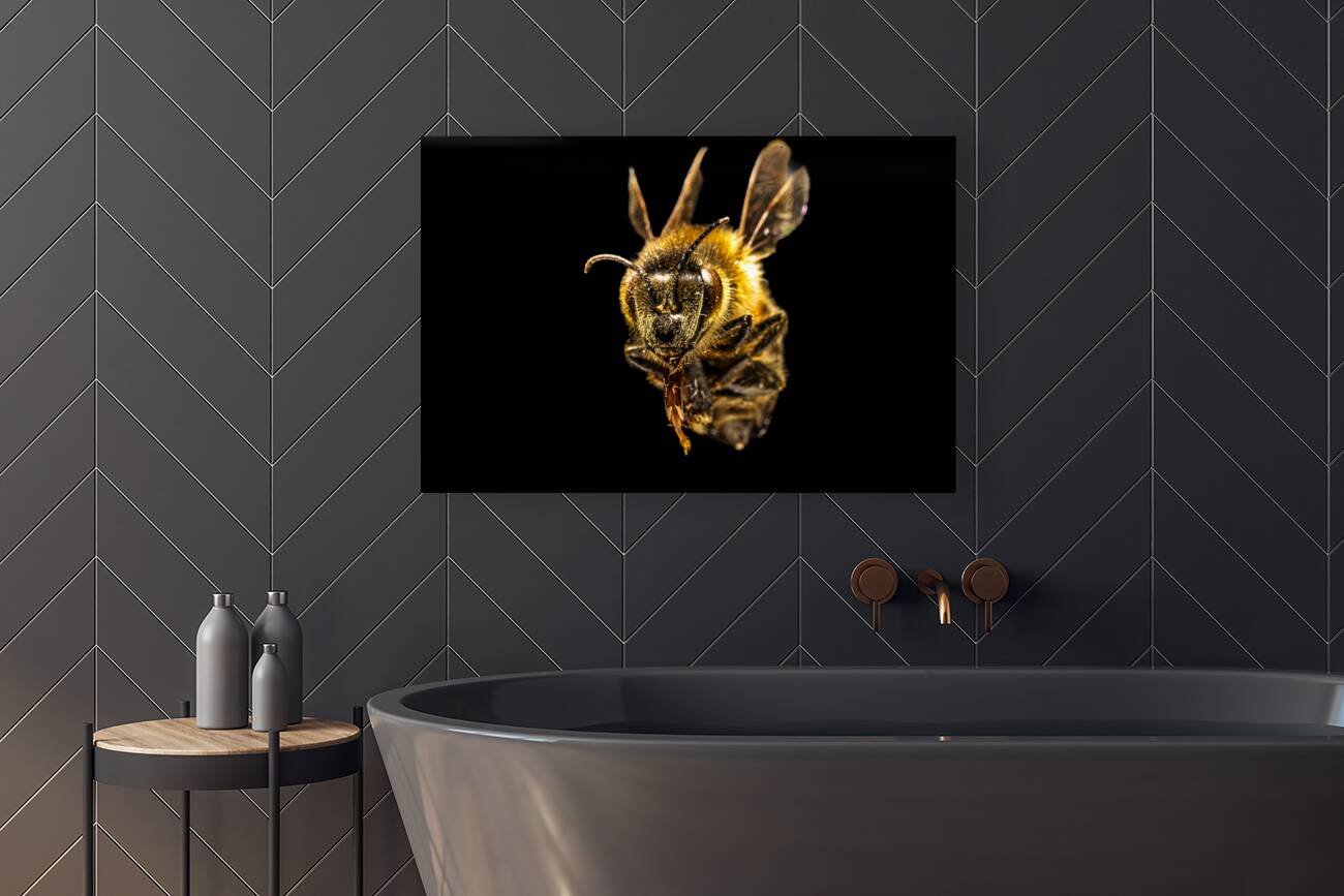 Store Macro 5L3A2752 Reproduction