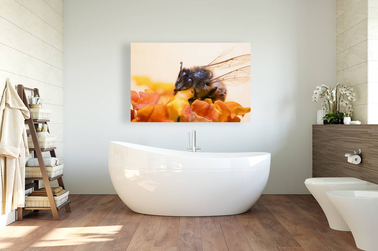 Store Macro 2024 06 16 Reproduction