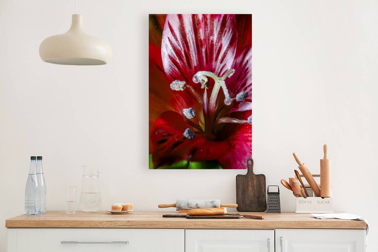 Store Macro 5L3A3662 Reproduction