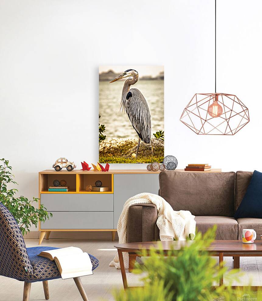 Store Key Biscayne AE2A9016 Reproduction